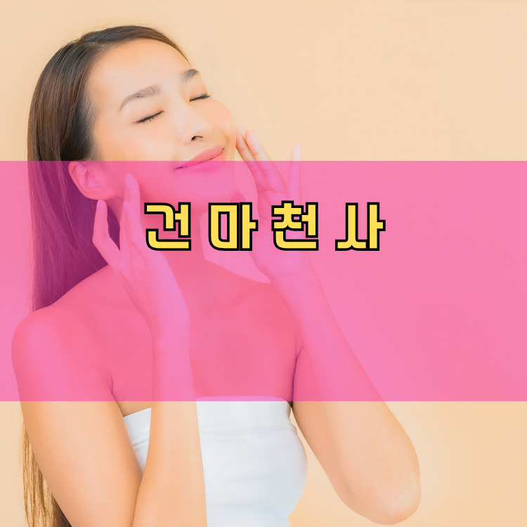 김포 경기 지역 안내
