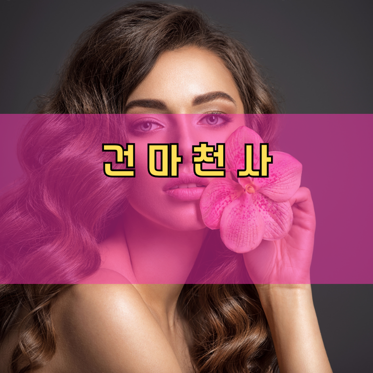 김포 경기 지역 안내